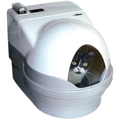 multi-cat electric litter box|best cat litter box for multiple cats.